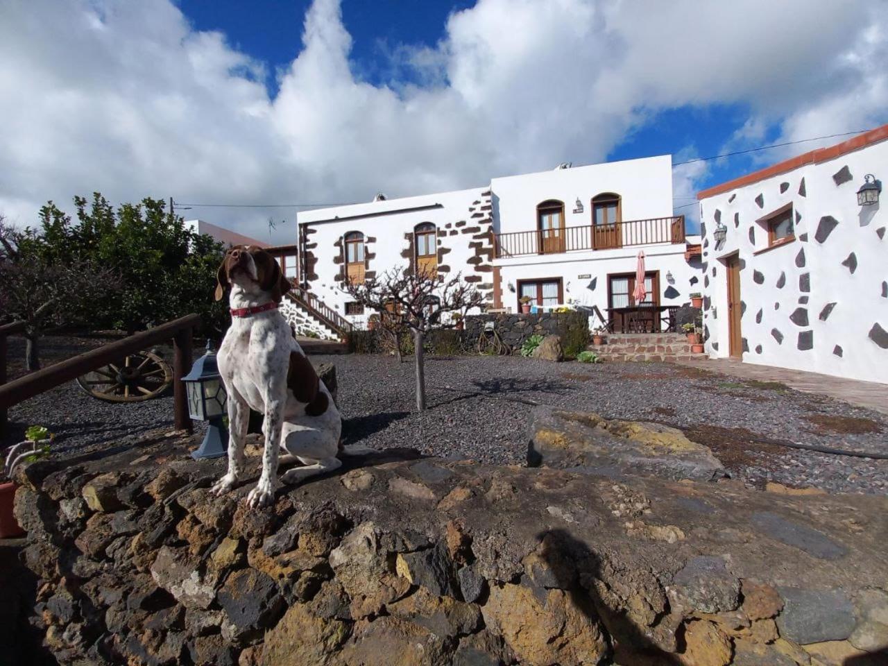 Las Casas Del Abuelito Julian & La Abuela Leonor Isora 외부 사진